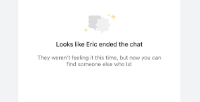looks like they ended the chat with you message on bumble 
