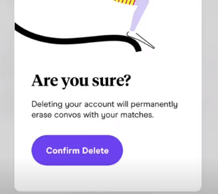The process of Deleting Hinge account in a snapshot